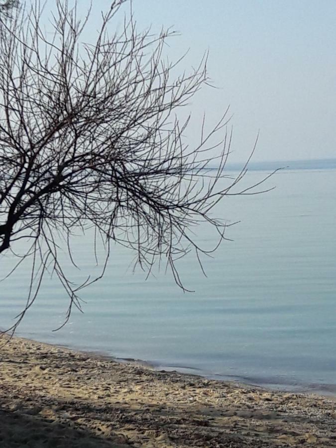 Cosy Boutique Apartment Peraia (Thessaloniki)